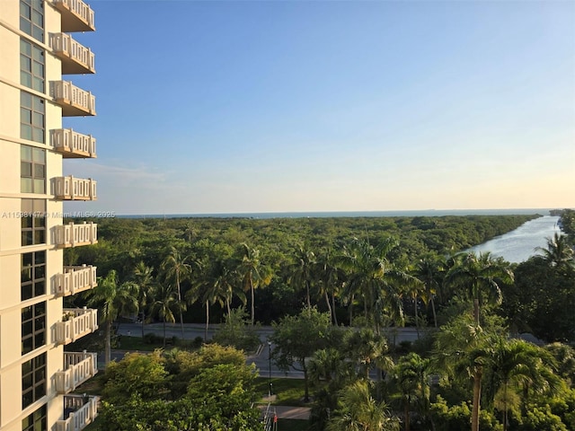 1121 Crandon Blvd Unit D604, Key Biscayne, FL 33149 - photo 21