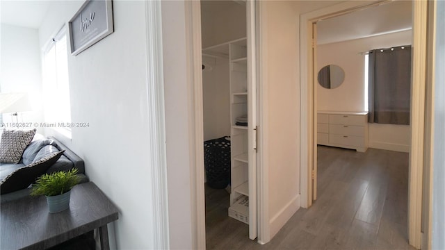 corridor featuring dark hardwood / wood-style floors