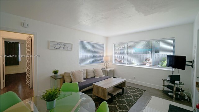 living room featuring hardwood / wood-style floors