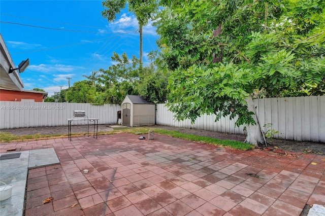 view of patio / terrace with a storage shed