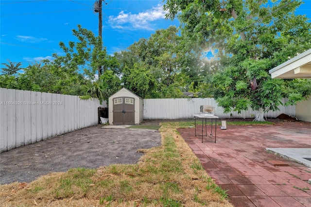 view of yard featuring a storage shed and a patio area