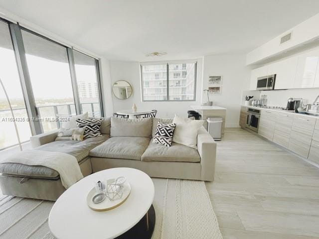 living room featuring light wood-type flooring and expansive windows