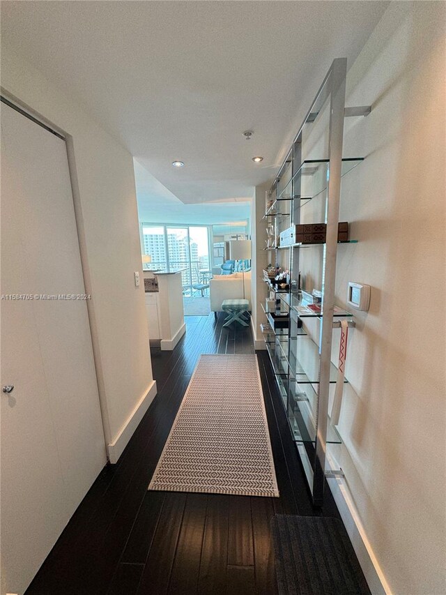 hallway with dark wood-type flooring