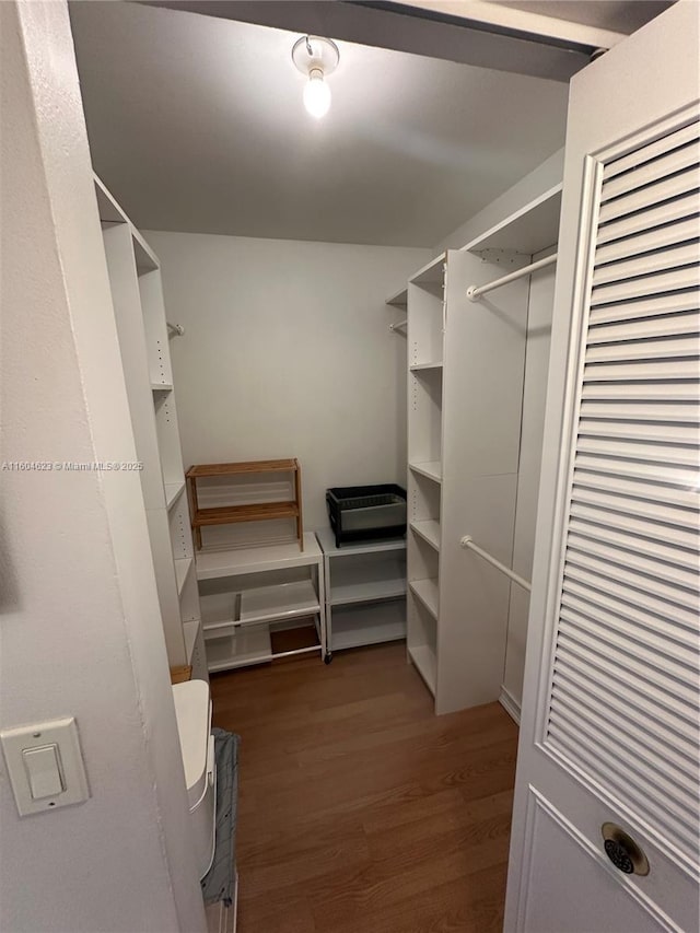 spacious closet with dark hardwood / wood-style flooring