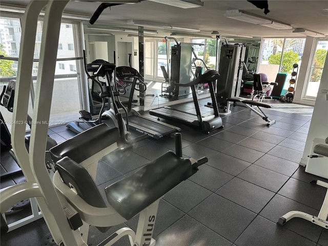 exercise room featuring a wealth of natural light