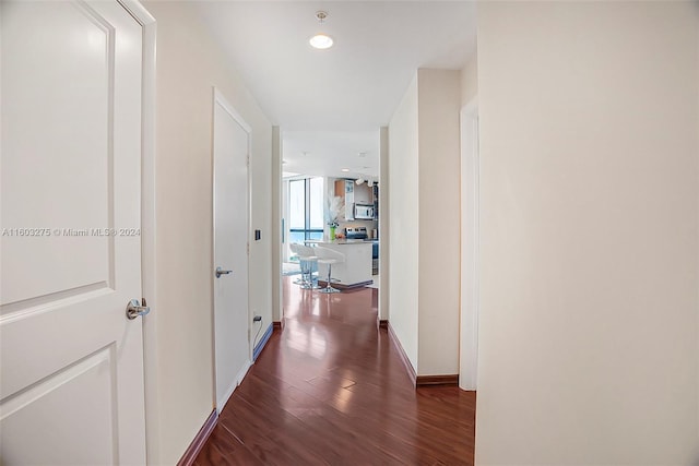 hallway featuring dark hardwood / wood-style flooring