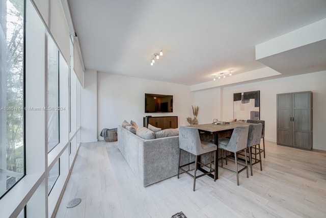 living room with light hardwood / wood-style floors and rail lighting