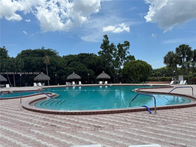 view of pool featuring a patio