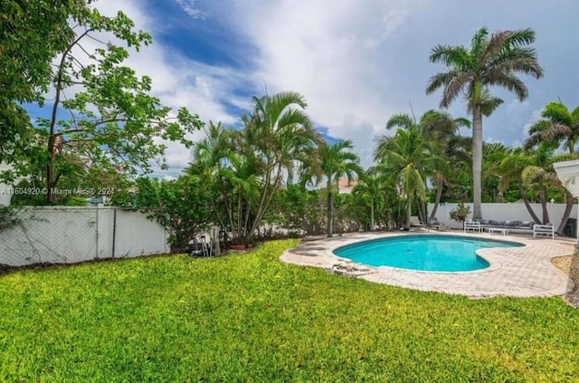 view of pool featuring a patio area and a yard