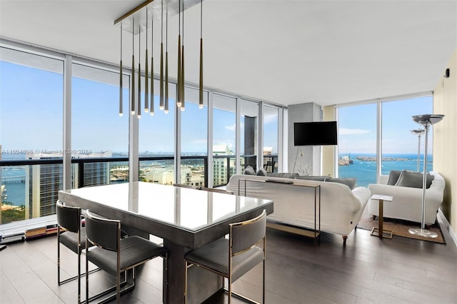 dining area with floor to ceiling windows and hardwood / wood-style floors