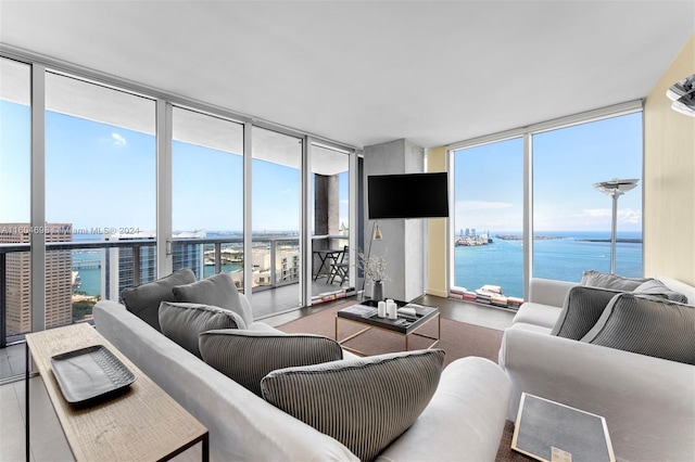 living room featuring a wall of windows