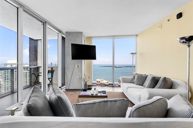 living room featuring expansive windows and a healthy amount of sunlight