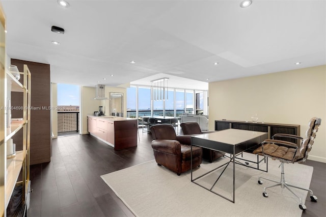 office featuring expansive windows and dark wood-type flooring