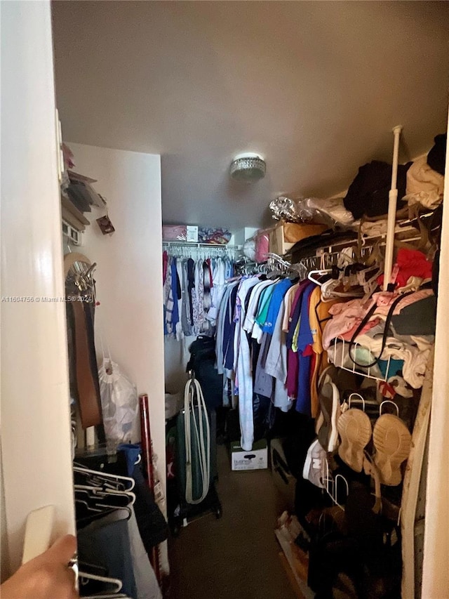 view of walk in closet