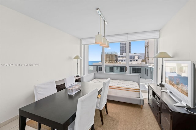 bedroom featuring multiple windows