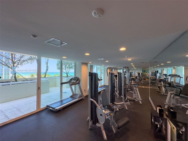 workout area with plenty of natural light