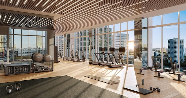 exercise room with hardwood / wood-style flooring, a wall of windows, and a healthy amount of sunlight