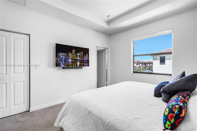 bedroom with carpet flooring, a closet, and a raised ceiling