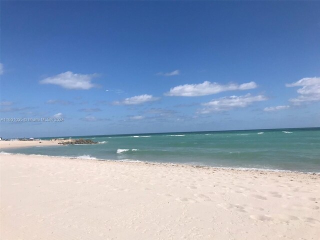 water view featuring a beach view