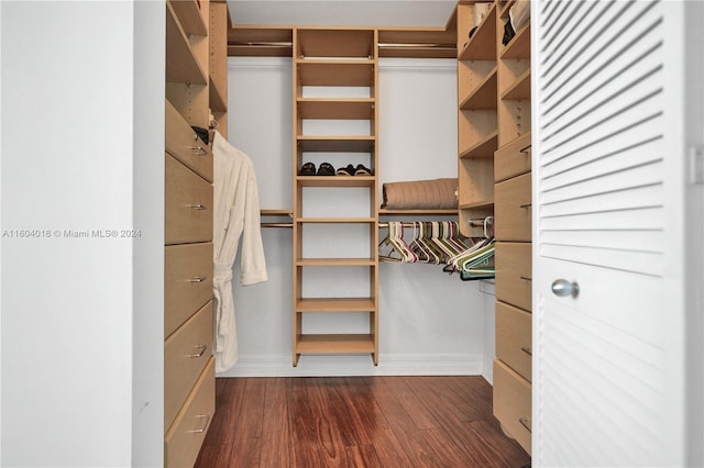 walk in closet with dark hardwood / wood-style floors