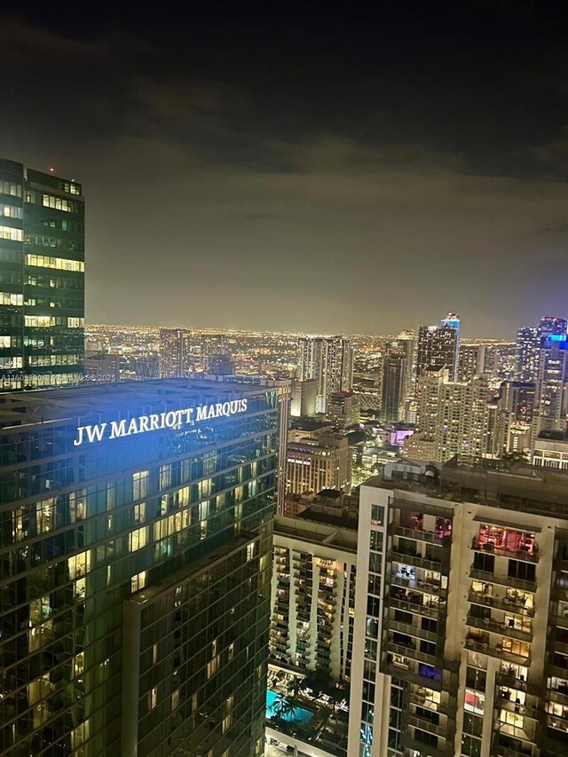 300 Biscayne Blvd Way Unit 5009, Miami, FL 33131 - city view