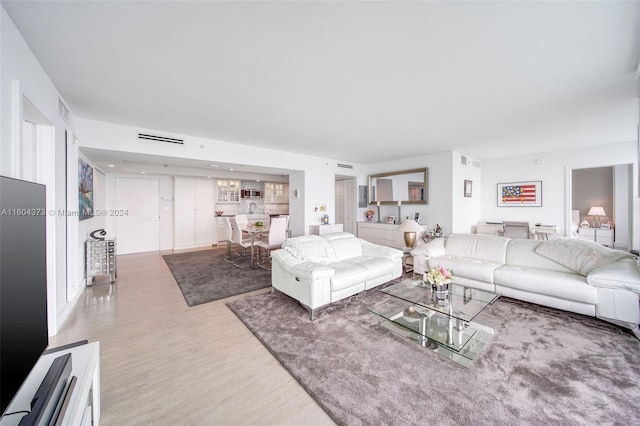 living room featuring wood-type flooring