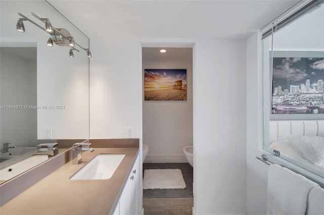 bathroom with vanity and toilet