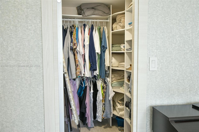 view of closet