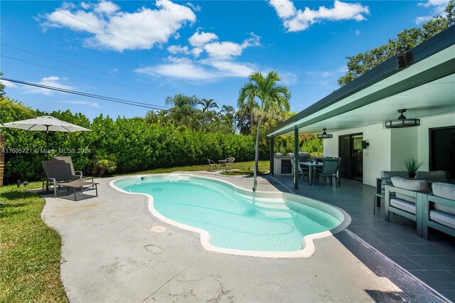 view of swimming pool featuring a patio area and ceiling fan