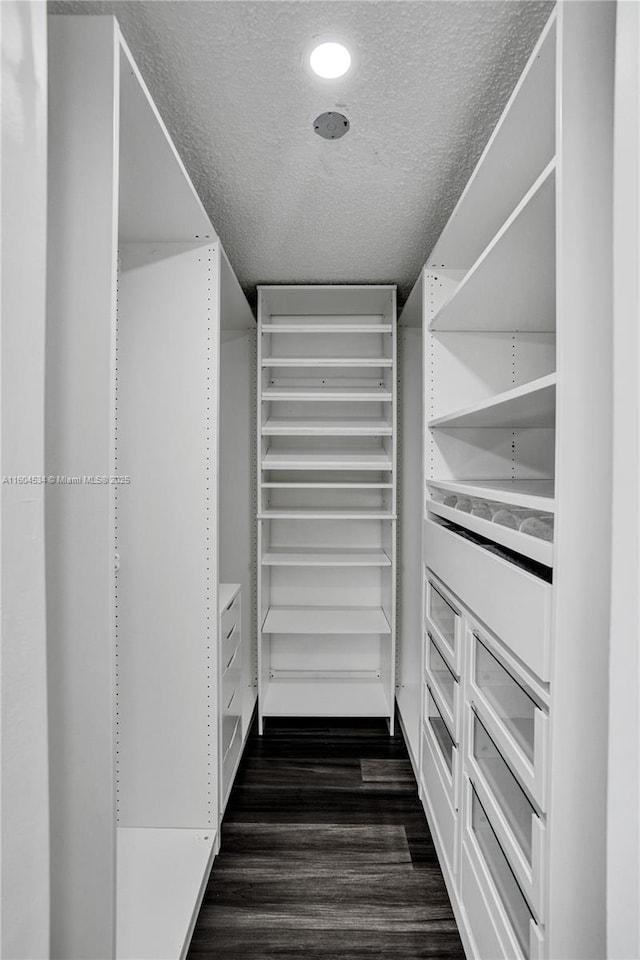 walk in closet featuring dark wood-type flooring