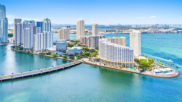 aerial view with a water view