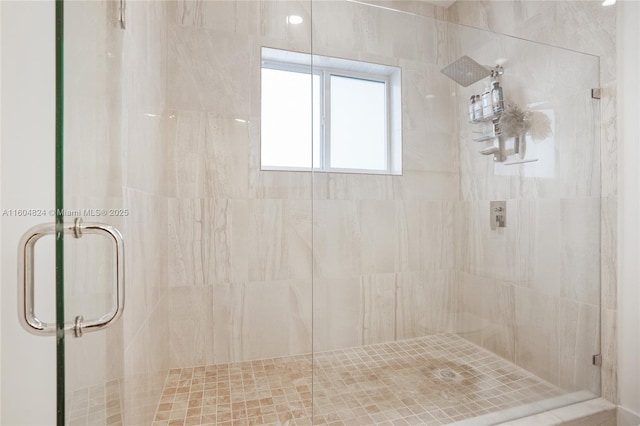 bathroom featuring a shower with shower door