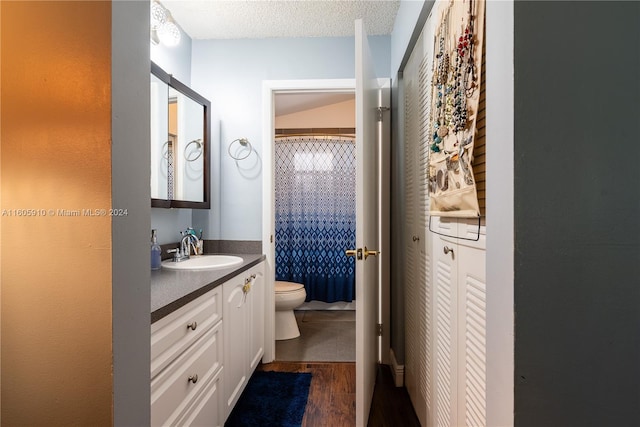 bathroom featuring vanity, wood-type flooring, a textured ceiling, and toilet