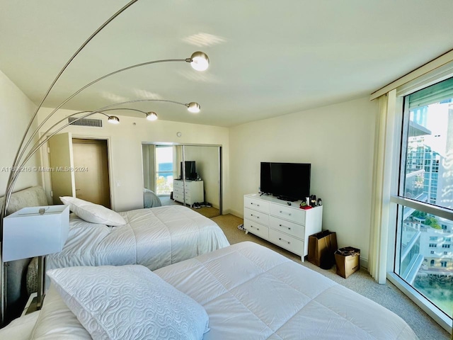 carpeted bedroom featuring a closet