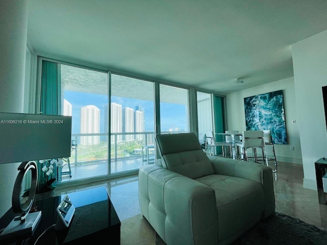 living room with a healthy amount of sunlight and expansive windows