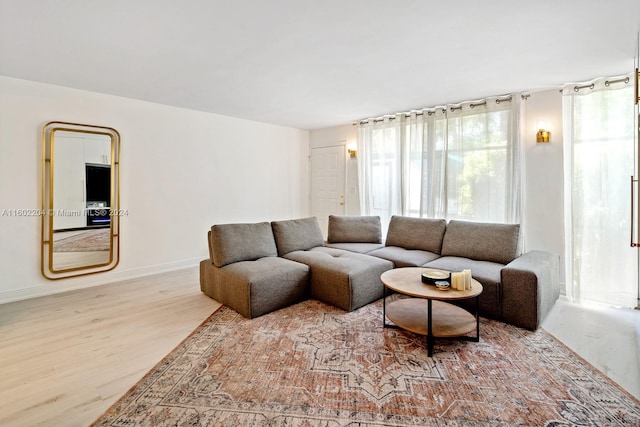 living room with hardwood / wood-style flooring