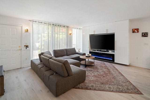 living room featuring light wood-type flooring