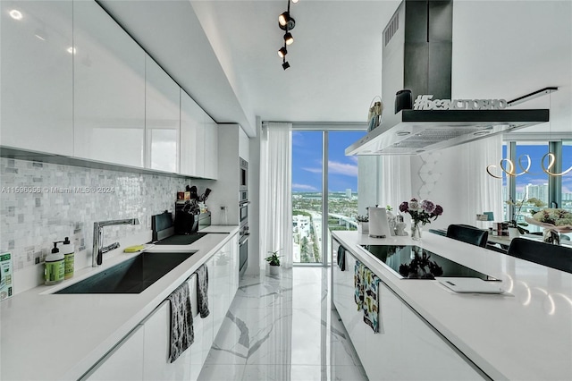 kitchen featuring sink, backsplash, ventilation hood, expansive windows, and white cabinets