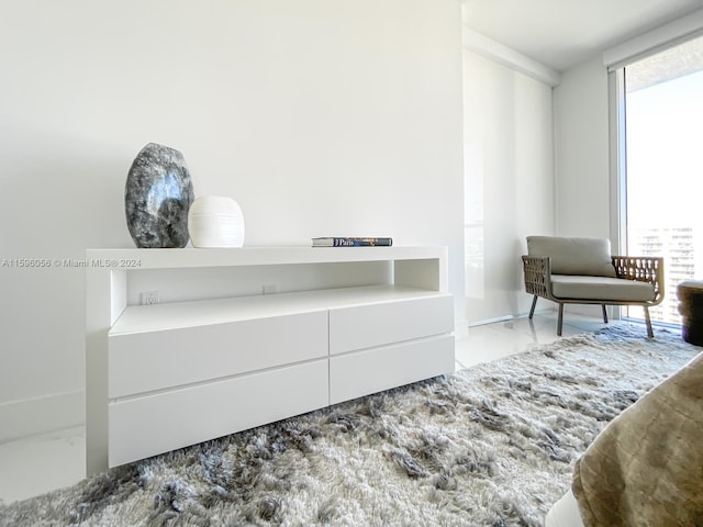 sitting room with a wall of windows