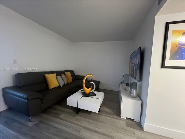 living room with hardwood / wood-style floors