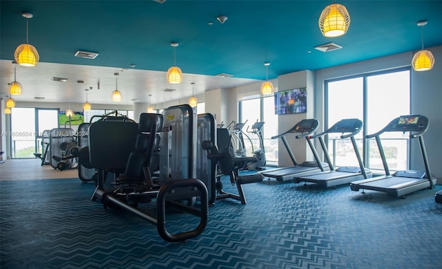 gym featuring carpet flooring