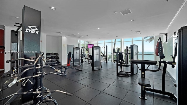 gym featuring plenty of natural light and expansive windows