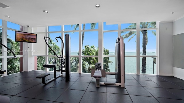 exercise room featuring a water view, plenty of natural light, and floor to ceiling windows