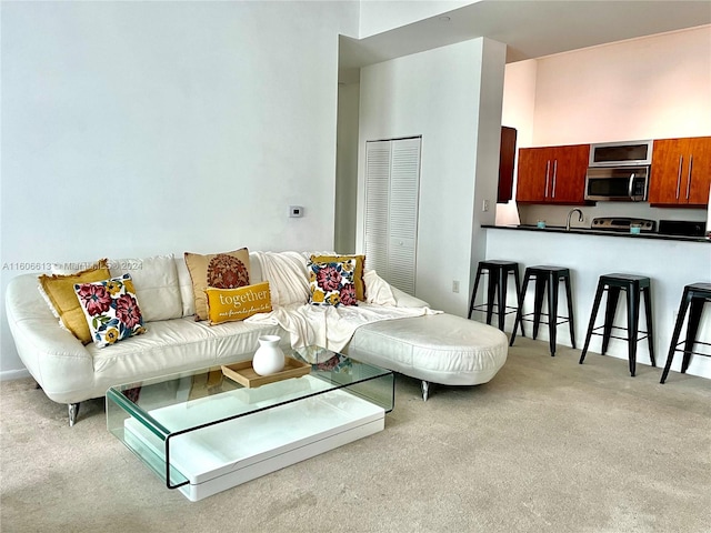 carpeted living room with sink