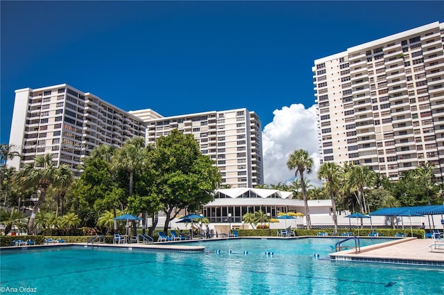 view of swimming pool