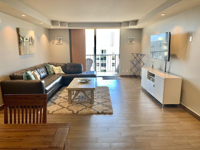 living room with a tray ceiling and hardwood / wood-style flooring