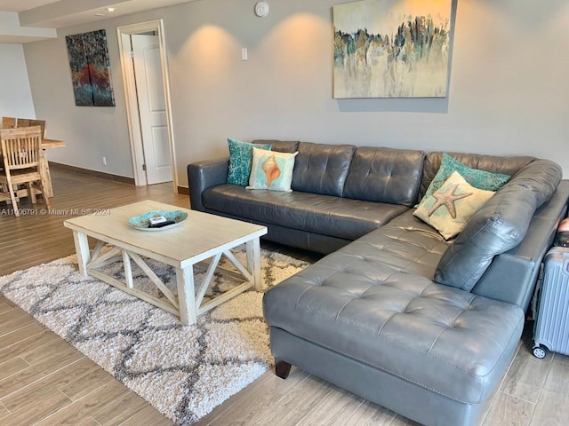 living room featuring light hardwood / wood-style floors