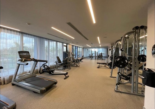 workout area with a wall of windows and a healthy amount of sunlight