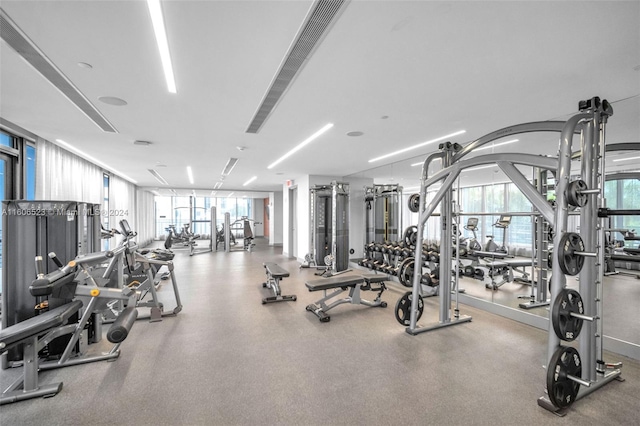 exercise room with a wealth of natural light