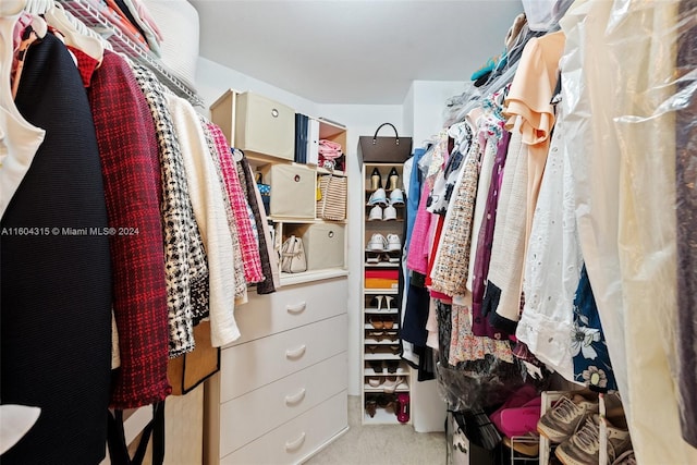 spacious closet featuring light colored carpet